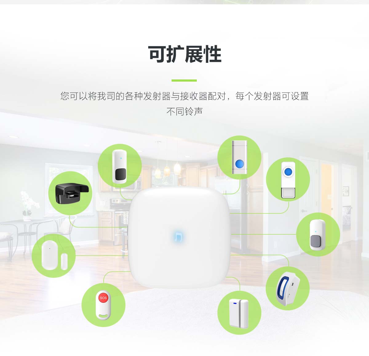 H1+�����T��