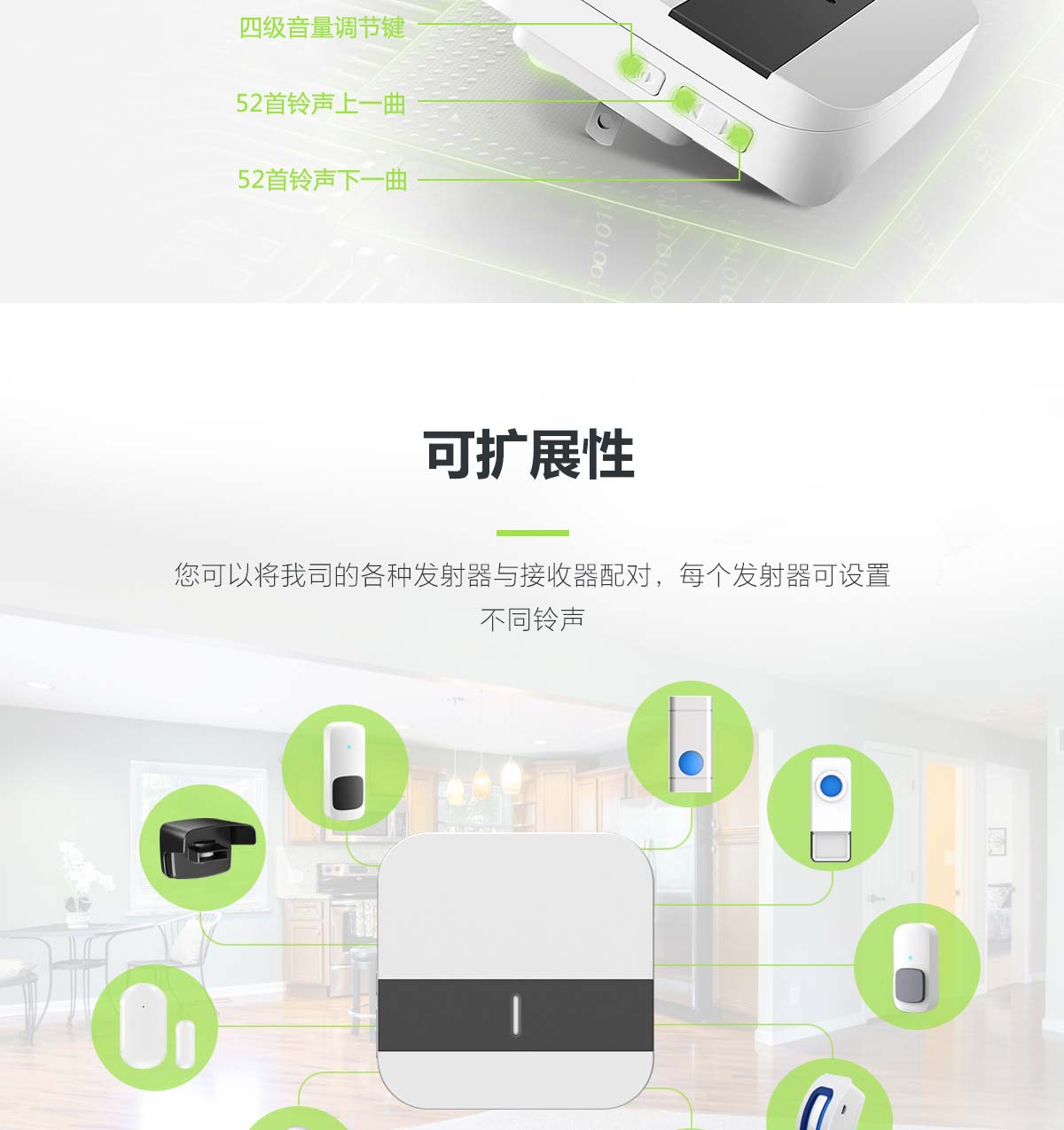 B13+����t��